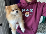 Maddy Maddy review photo