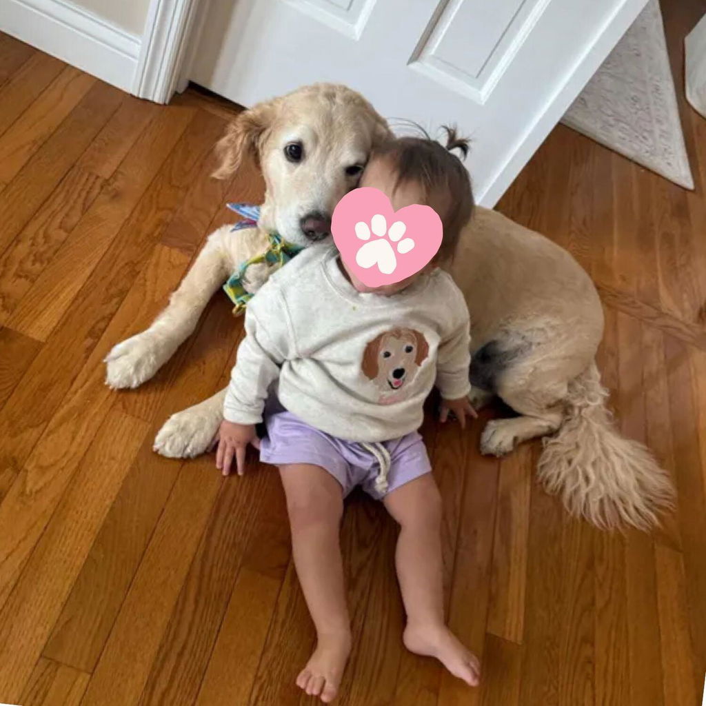 Custom Emroidered Pet Portrait Toddler Sweatshirt or Hoodie from Photo, Personalized Gift for Kids