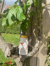 caroline b. review photo