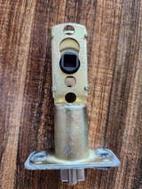 Dr.Zilbern review photo