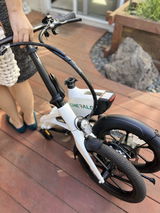 Tang Tang review photo