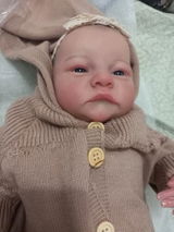 Ted S. review photo