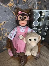 Mignon C. review photo