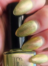 Venus review photo