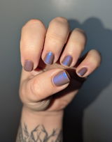 shel review photo