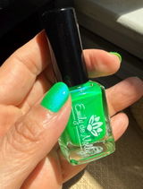 Etsy review photo