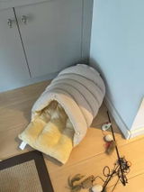 購入者さん review photo