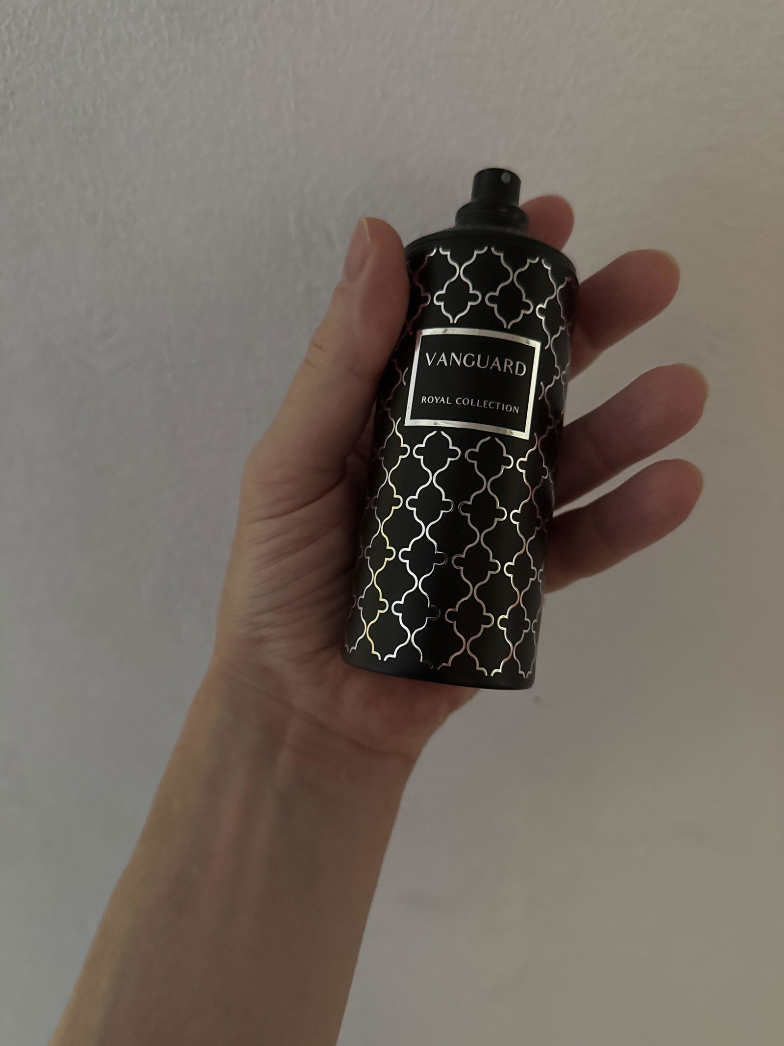 Vanguard Maison Asrar EDP 100ml: Spicy Woody Fragrance
