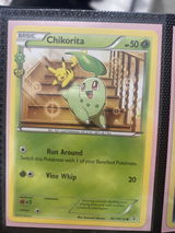 Thalia S. review photo