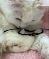 由香里 鈴. review photo