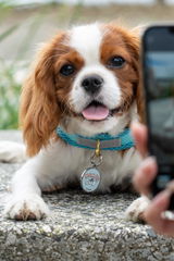 Nubu (IG: @nubulovesyou) review photo