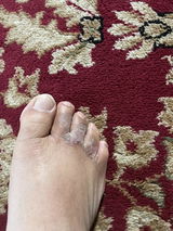 Lawrence Fortes review photo