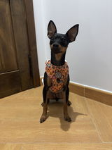 Nazaret Rodriguez vergara review photo