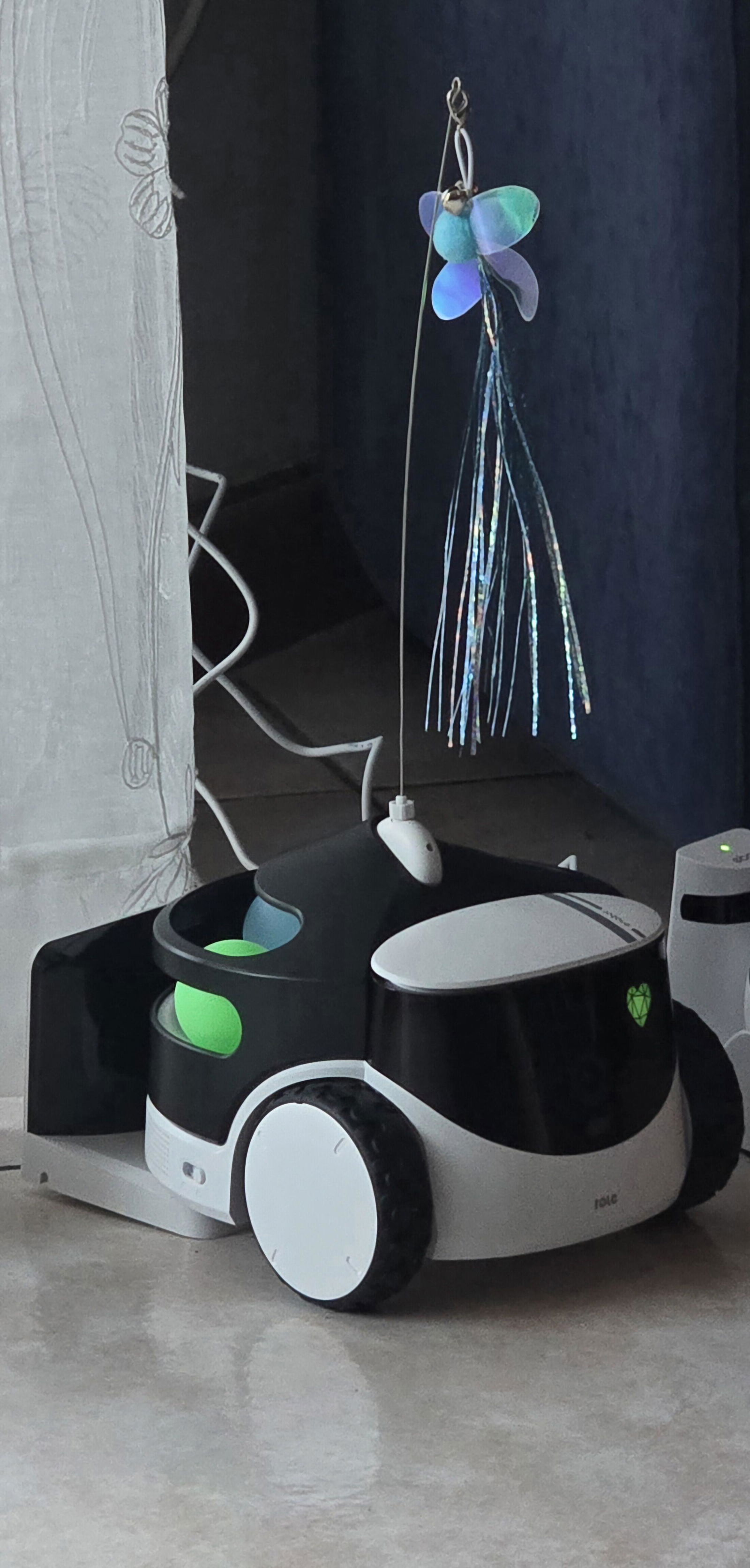 ROLA PetPal | Modular AI Pet Robot with Feeder – Enabot – Enabot Store