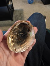 Anonymous review photo