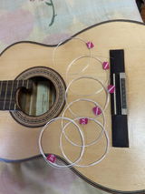 Luis emmanuel Guerrero cardenas review photo
