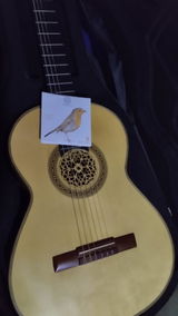 Jonathan Rangel review photo