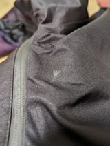 Christopher Luong review photo