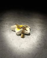 Lea A.P. review photo