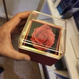 Jovan review photo