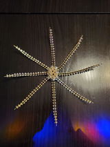 Karen Pro review photo