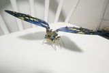 Lara Albarran Reyero review photo