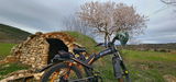 Sete review photo