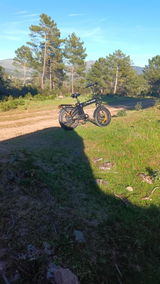 Martin review photo