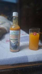 Renu Tomar review photo