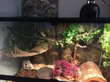 Pet Parent review photo