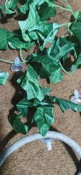 Verified Buyer review photo