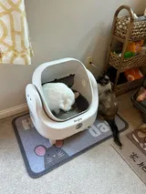 Happy Customer review photo