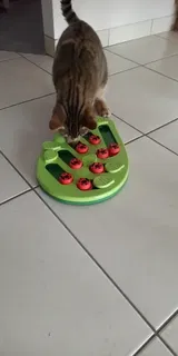 Pet Parent review photo