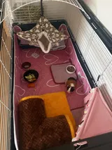 Happy Customer review photo