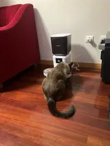 Pet Parent review photo
