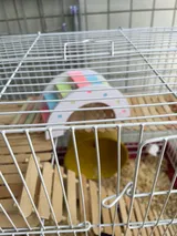 Happy Customer review photo