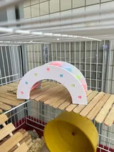 Happy Customer review photo