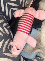 Pet Parent review photo