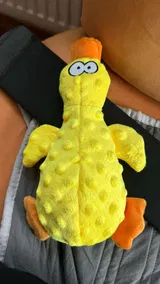 Pet Parent review photo
