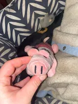 Pet Parent review photo