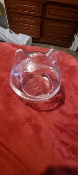 Verified Buyer review photo