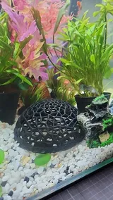 Verified Buyer review photo