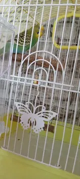 Pet Parent review photo
