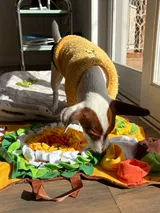 Happy Customer review photo