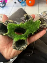 Verified Buyer review photo