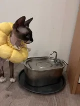 Pet Parent review photo