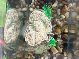 Pet Parent review photo