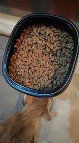 Pet Parent review photo