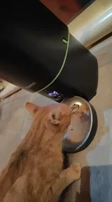 Pet Parent review photo