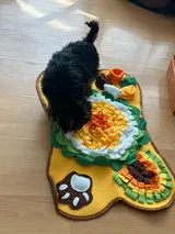 Pet Parent review photo